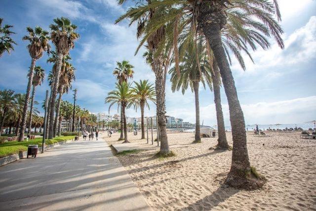 ラ・ピネーダApartbeach Adriatico 518 Vistas Playa Y Climatizadoアパートメント エクステリア 写真